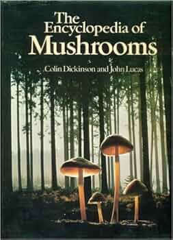 洋書 Mushrooms Amazon | Encyclopedia Of Mushrooms | Rh Value Publishing
