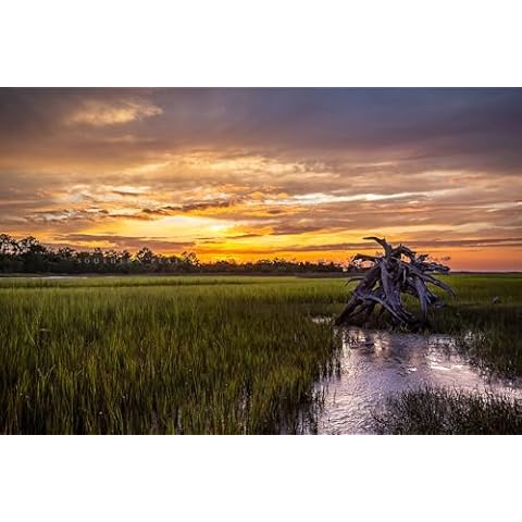 Coastal Photography Print by Southern Plains Cover