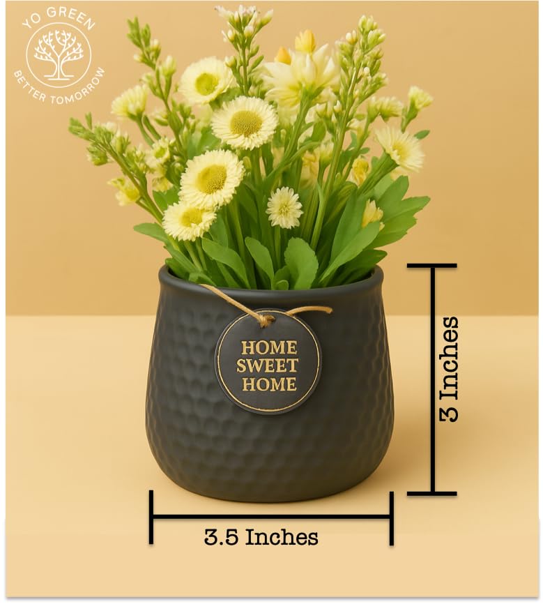 Image of Yo Green Ceramic Plant Pot for Indoor & Outdoor, Modern Planter for Home & Office Decor, Durable, Stylish Finish, Ideal for Tabletop, Shelf, Balcony, Great Gift Idea (Charcoal, 3 Inches)