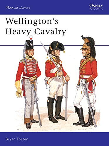 Wellington's Heavy Cavalry view 2
