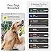 New Fi Series 3+ Smart Dog Tracker Collar [12 Month Membership Included] GPS Tracker for Dogs with Health & Behavior Monitoring, Escape Alerts, Waterproof, LED, Apple Watch Compatible (Gray, Large)