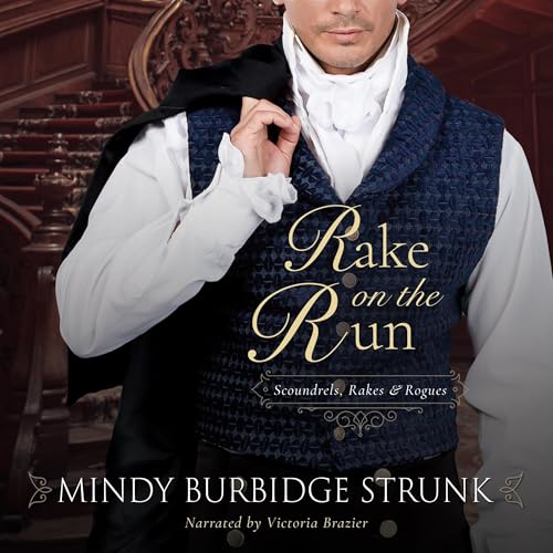 Couverture de Rake on the Run