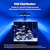 NICREW HyperReef 200 Gen 2 Reef LED Light, 200W Reef Aquarium Lighting for SPS LPS Corals and Saltwater Fish Tanks, Enhanced Violet and Blue Spectrum, Wide Angle Lens, 5 Channels Fully Programmable #4