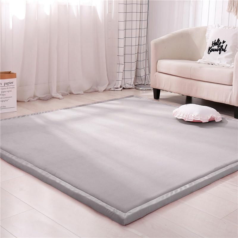 DSSHENGDS Coral Velvet Rug for Bedroom Dormitory Yoga,Home Decor for Living Room,Educational Classroom Nursery Bedroom Crawling Mat Non-slip Rug 2cm-D- 100 * 150cm