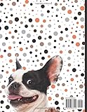 Zoom IMG-1 french bulldog fantastic record keeping