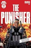 marvel knights punisher 1  Marvel Knights Punisher
