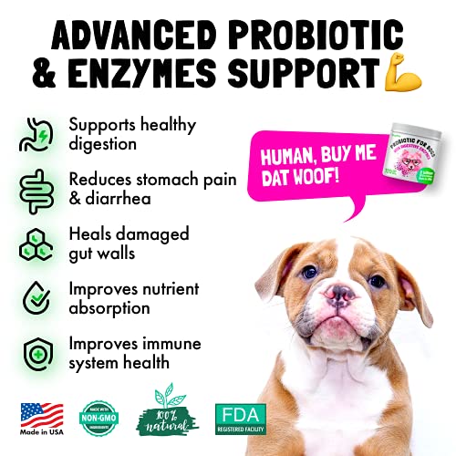 Probiotics for Dogs Natural Digestive Enzymes Prebiotics for Allergy Itch Relief Gut Flora Coprophagia Bowel Support Treatment Anti Diarrhea for Dogs Pet Health Immune System Support 30 Soft Chews Probiotics for Dogs Natural Digestive Enzymes Prebiotics for Allergy Itch Relief Gut Flora Coprophagia Bowel Support Treatment Anti Diarrhea for Dogs Pet Health Immune System Support 30 Soft Chews