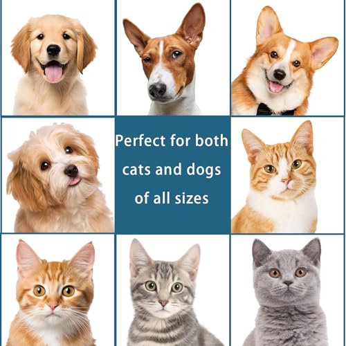 Image of Pet Steam Brush for Dog & Cat - 3-in-1 Spray Hair Removal for Grooming, Softens Fur & Reduces Static 2*Shampoo(Steam Brush not Included)