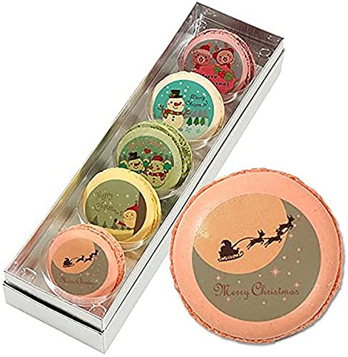 ṼXC[c bZ[W }J Mtg NX}X XC[c 5 m-set126