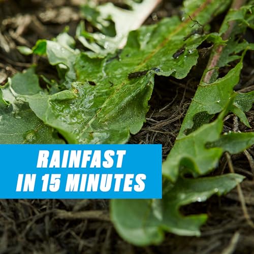 image for Ortho GroundClear Super Weed & Grass Killer1: Ready-to-Use Continuous 