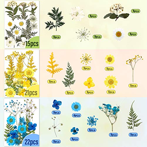 Set de 223 flores secas prensadas y stickers de mariposas miniatura 2
