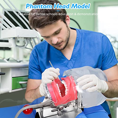 Faruijie JIANYITOUMO-BANGYI02 Dental Simulator Mannequin Head thumb #2