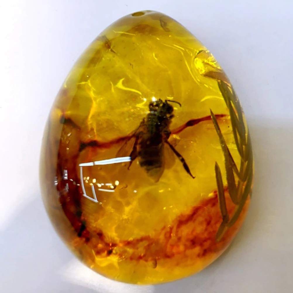 Resin Amber Fossils For Sale Amazon Amber Collection 5-Piece Amber