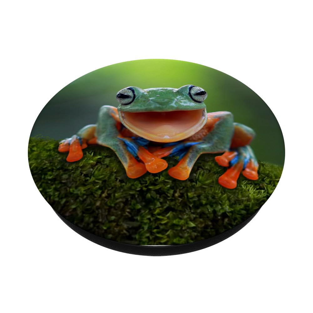Amazon.com: Frog Fun PopSocket: Green Frog Gift PopGrip for Phones