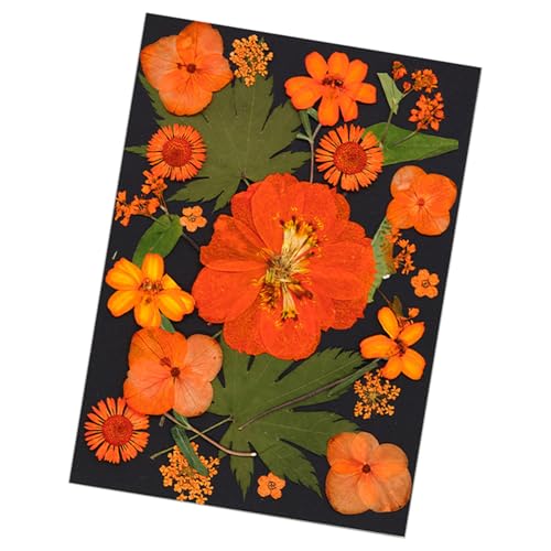 VRԃhCt[tZbgWG[쐬pA[gNtgNtgXNbvubLONtg