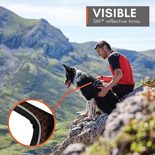 Non-Stop dogwear Rock Harness |130| Führ und Alltagsgeschirr, Größe:L