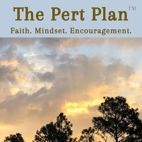 Page de couverture de The Pert Plan&trade;