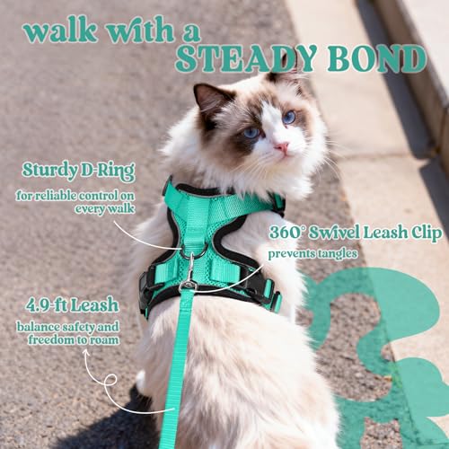 Image of rabbitgoo Cat Harness and Leash Set, Escape Proof Vest, Emerald | Soft Breathable Mesh, Easy Adjustable Fit, Snap Buckles, Sturdy Clip, Reflective Strips, for Medium to Large Cats Walks, M