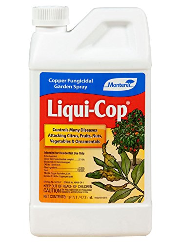Monterey Pt Liquid Cop Conc Fungicide