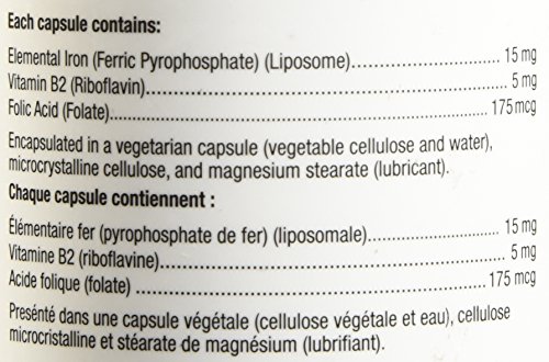 Lorna Vanderhaeghe Ironsmart, 60 Ct #TOP6