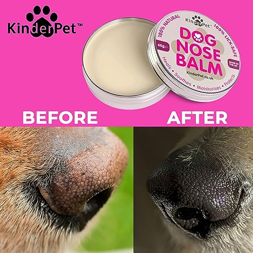 KinderPet® Dog Nose Balm Heal Soothe Moisturise Protect Dry Chapped Cracked Sore Crusty Noses Lick-Safe Organic All Natural Made in the UK 60g - Image 3
