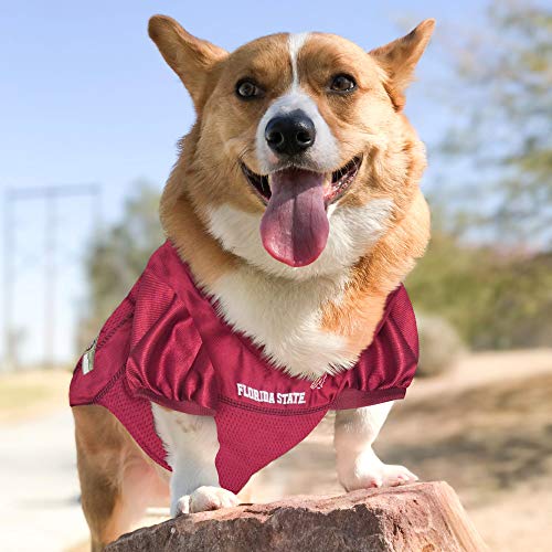 Image of Mirage Pet Products Florida State Seminoles Jersey for Dogs and Cats, Medium