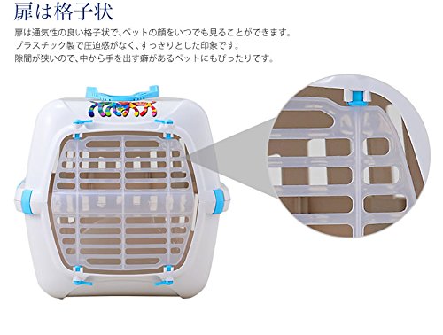 Caixa Transporte Friends Forever Nº1 Verde Friend Forever para Cães