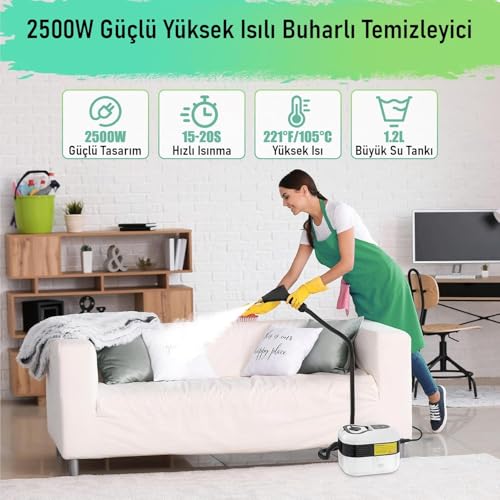 Valkyrie El Tipi Buharlı Temizleyici 2500W Basınçlı Yüksek Isı, Çoklu Başlık Aparatlı Derinlemesine Hijyenik Temizlik