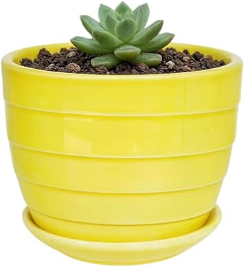 Cute 4.13 Inch Ceramic Home Garden Decoration Succulent Cactus Flower Pots Container -Plant Not Included,Yellow