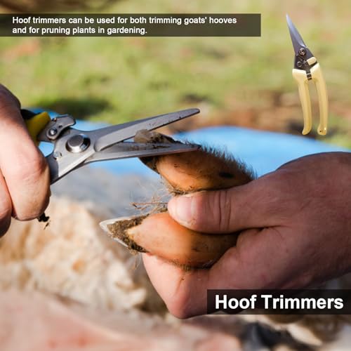 Image of 14 Inch Horse Farrier Tool Kits,7 Piece Professional Hoof Trimming Kit with Hoof Nippers, Rasp, Shear Cutter, Hoof Knife, Pick, Gloves, Storage Bag, for Horse Goat Pig Hoof Care