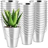 SINJEUN 30 Pack 4.5 x 5 Inch Galvanized Metal Buckets, Silver Metallic Pails with Handle, Mini...