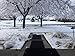 Powerblanket WM24x60C-RES Summerstep Home Residential Snow Melting Heated Walkway Mat, Anti-Slip, 120V, 310 Watts, 60