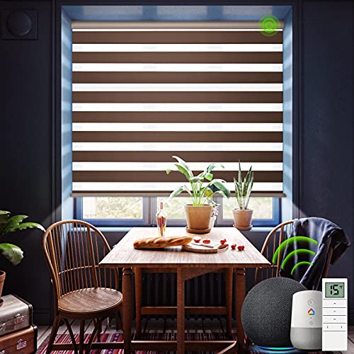 Yoolax Motorized Zebra Blinds Works with Alexa, Day and Night Dual Layer Smart Blinds Customized Size, Light Filtering Sheer Shading Electric Blinds with Remote for Windows (Brown)
