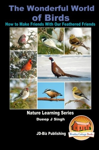 The Wonderful World of Birds - How to Make Friends Wit