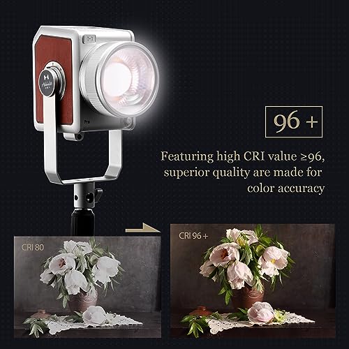 HARLOWE Harlowe Pro 300W LED 写真照明キット の商品画像 1