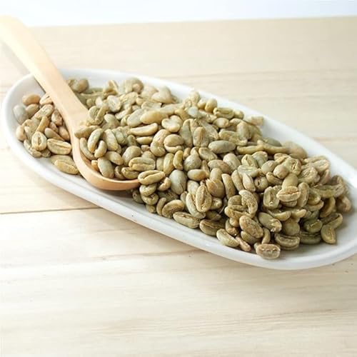 R[q[ 900g O@e} SHB EGEGeiS v~AQO[h R