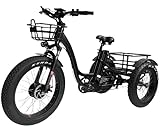 Fat Tire Trike FT 1900X, High Power Electric Tricycle with 750W Motor, Off Road Electric Mobility, 23 MPH Electric Tricycle