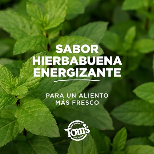 La mejor comparación de Toms of maine los mejores 5. 2