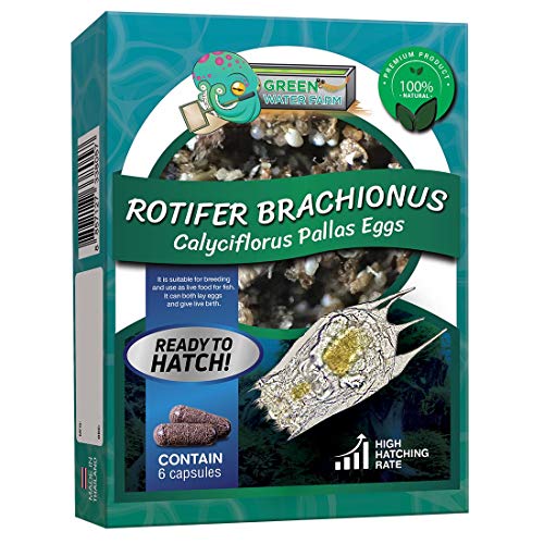 GREEN WATER FARM Rotifer Eggs