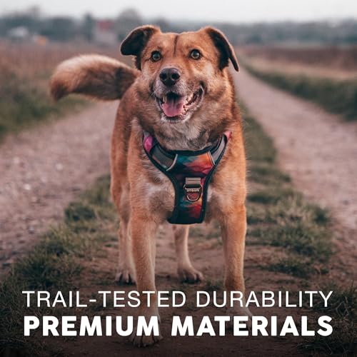 Embark No Pull Dog Harness, Reflective Adjustable Training Vest, No Choke | Adjustable straps fit all dog breeds with sturdy hooks; 360° reflective trim, soft padded Harness Design for All Dogs - Image 7