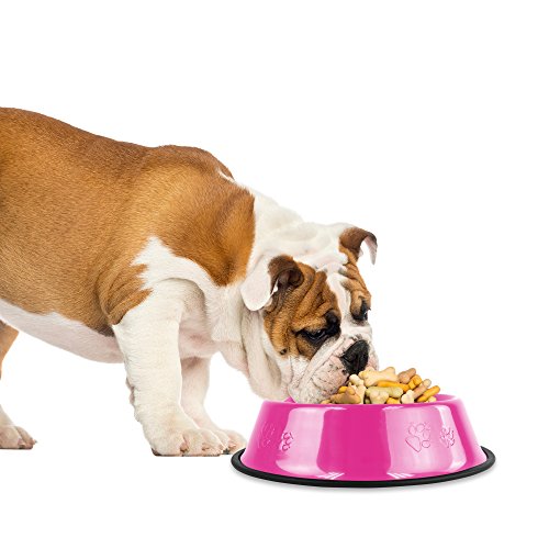 Platinum Pets Non-Tip Stainless Steel Dog Bowl, 28 Oz, Bubble Gum Pink, Medium #TOP2