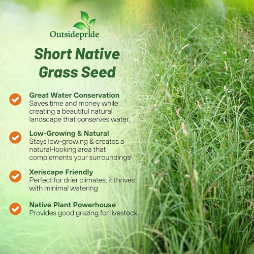 image for Outsidepride Perennial Short Native Grass Seed Mix - 1 lb. Premium Mix