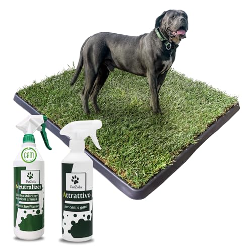 Pack 4 - XL - PetZolla: Prato Vero con Vassoio 100X90 cm, Spray Neutralizzatore e Attrattivo – Cuccia per cane. Lettiera Naturale per Cani. Alternativa Ecologica a Traversine e Tappetini per Pipì