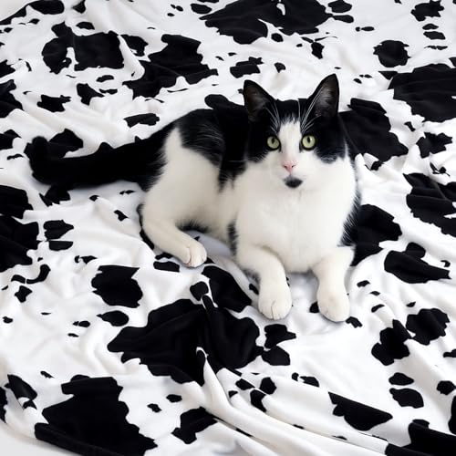 Cozy Bliss Manta con Estampado de Vaca, Suave, Gruesa y Cálida, para Sofá, 50 x 60 pulgadas, Negro y Blanco miniatura 5