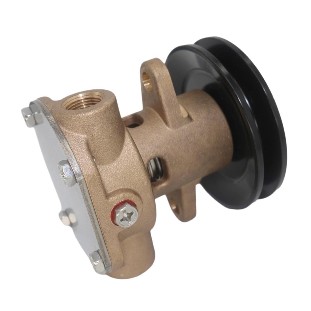 Pompe à eau de mer G910P indispensable pour la maintenance de votre navire
