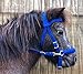 pony bitless bridle horse tack side pull hackamore royal blue