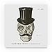Trademark Fine Art Sue Schlabach Dandy Bones I, 35x35-Inch