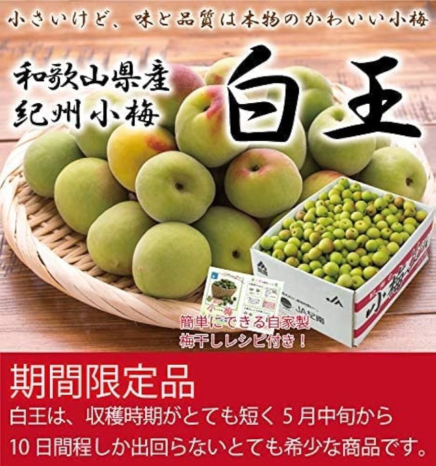 juri.さま梅しごと用小梅　15キロ Amazon | 梅 紀州小梅 白王 訳あり 大きさおまかせ 1kg JA紀南
