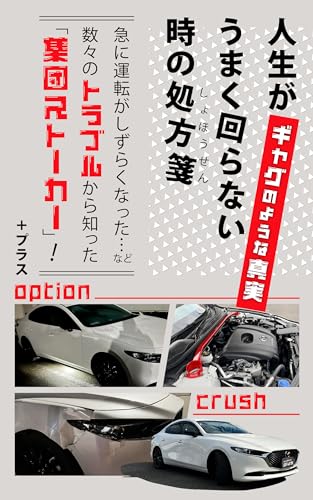人生がうまく回らない時の処方箋 ギャグのような真実: 急に運転がしずらくなった…など数々のトラブルから知った「集団ストーカー」! (ノンフィクション)