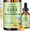 Gotas liposomales de GABA y L-Teanina para niños - Suplemento líquido de GABA con magnesio, manzanilla, melisa y vitamina B6 - Apoya la relajación, concentración y alivio del estrés para niños y adultos - Sabor a piña 2